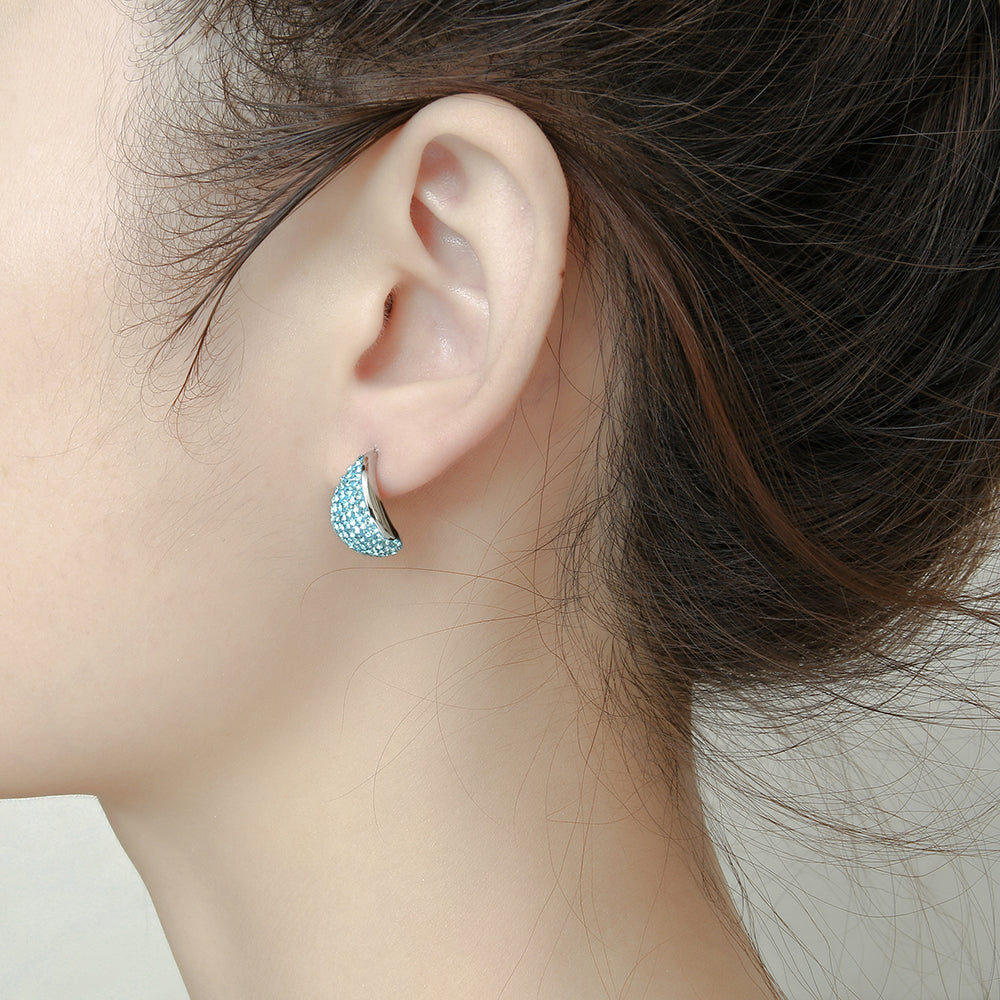 Preciosa Crystal Stainless steel domed Earrings